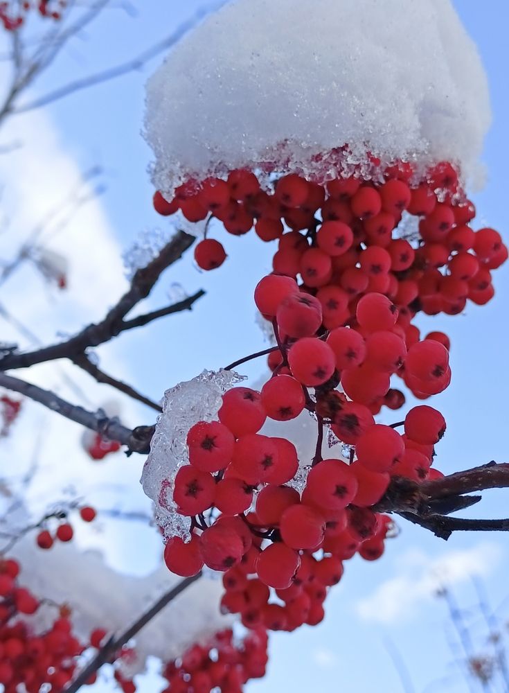 Photograph by Лена