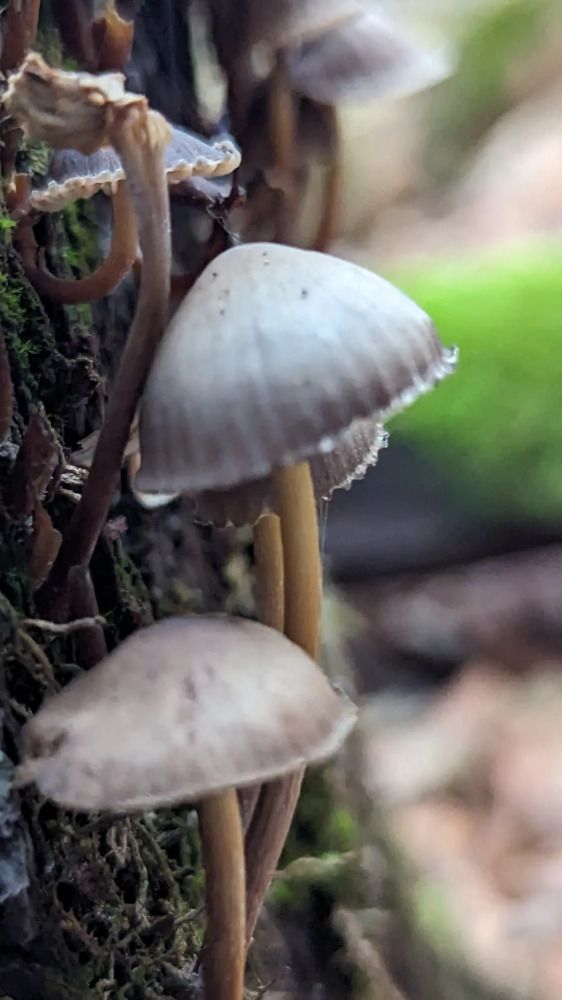 Photograph by Наталия Васина