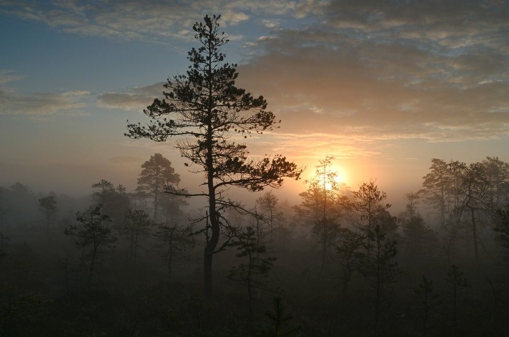 Photograph by IJA REIMAN