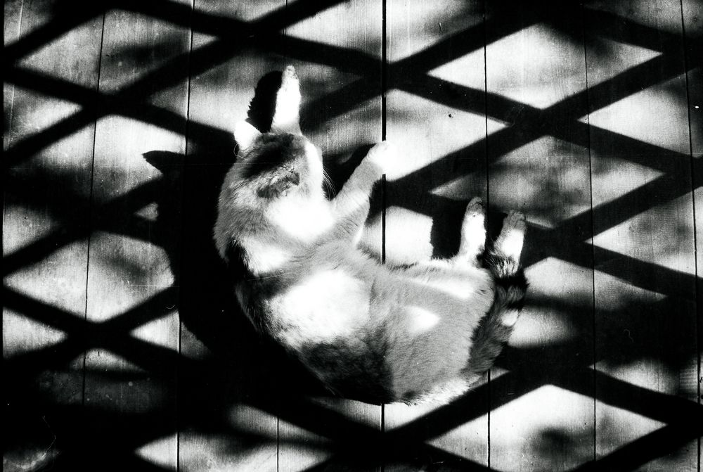 Photograph by Маннанова Ляйсан
