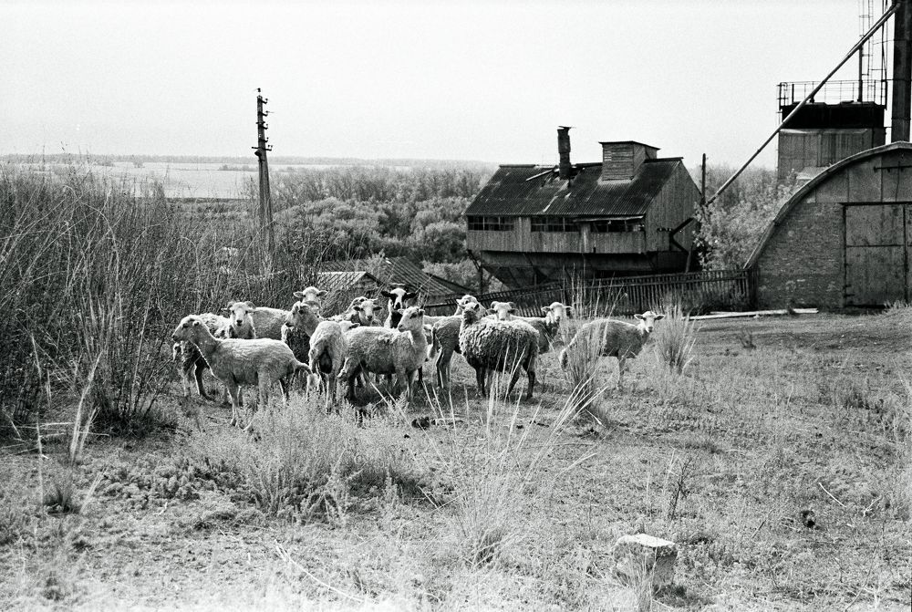 Photograph by Маннанова Ляйсан