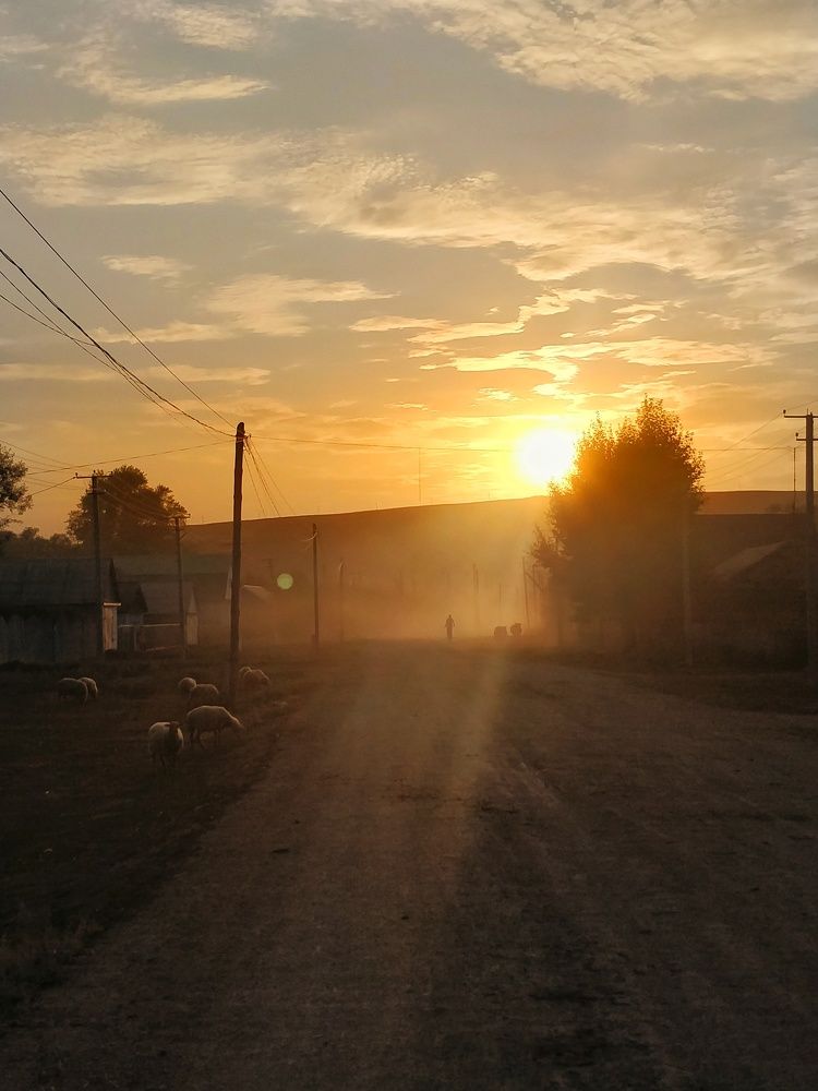Photograph by Маннанова Ляйсан
