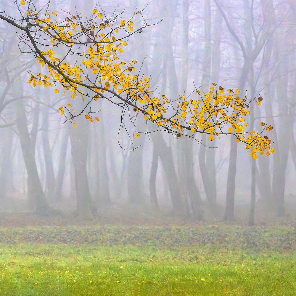 Photograph by Demir Pepic