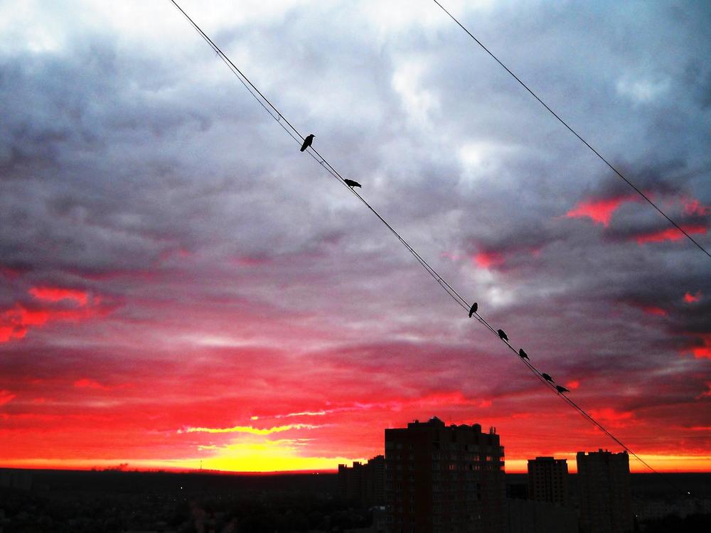 Photograph by Анна Цымбал