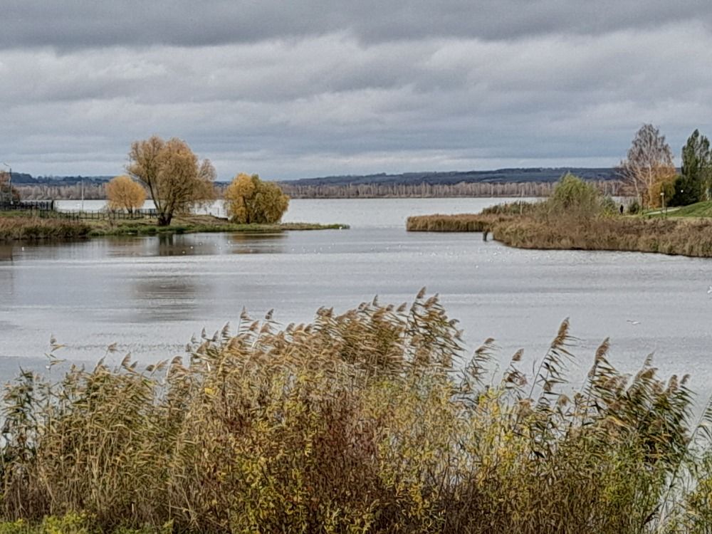 Photograph by Кирилл Огинов