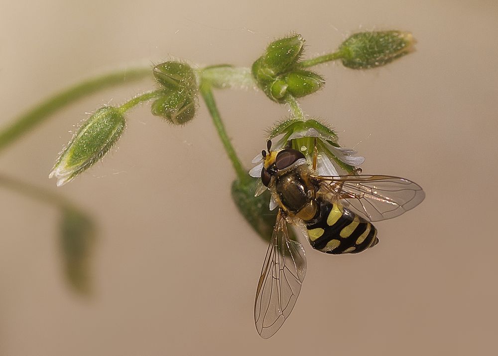 Photograph by Victor Stepanov