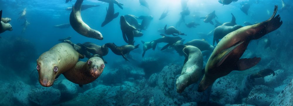 Photograph by Нарчук Андрей