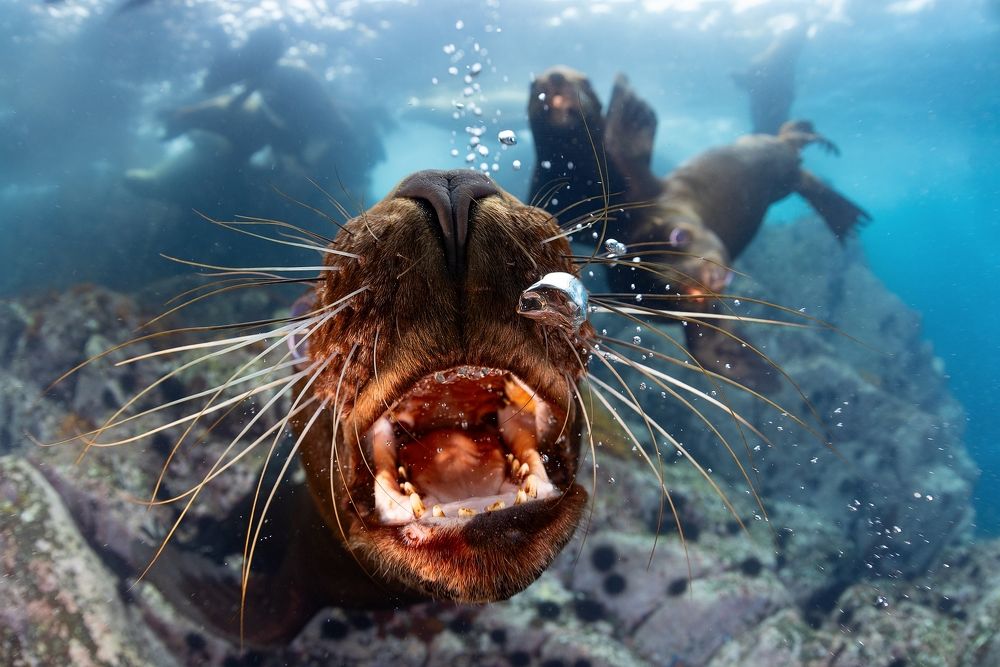 Photograph by Нарчук Андрей