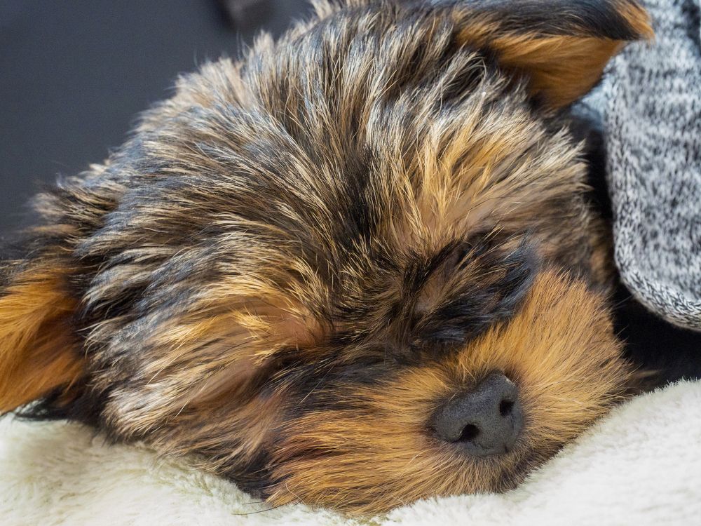 Photograph by Denis Polushin