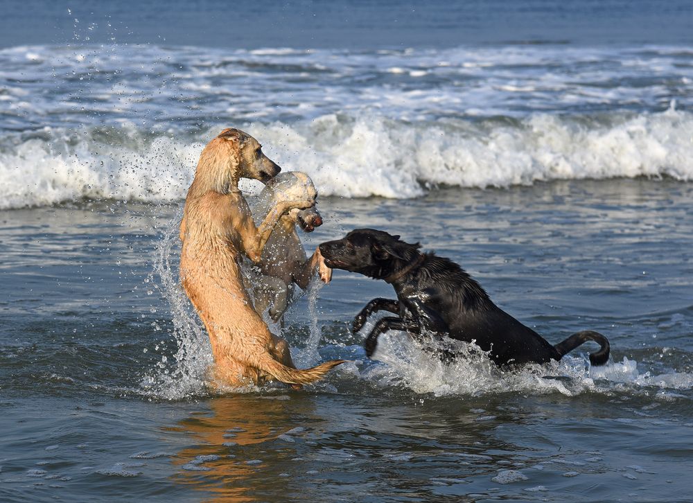 Photograph by Сергей Шварцман