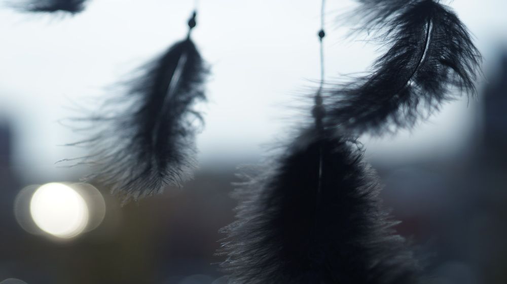 Photograph by Лиза Малыгина