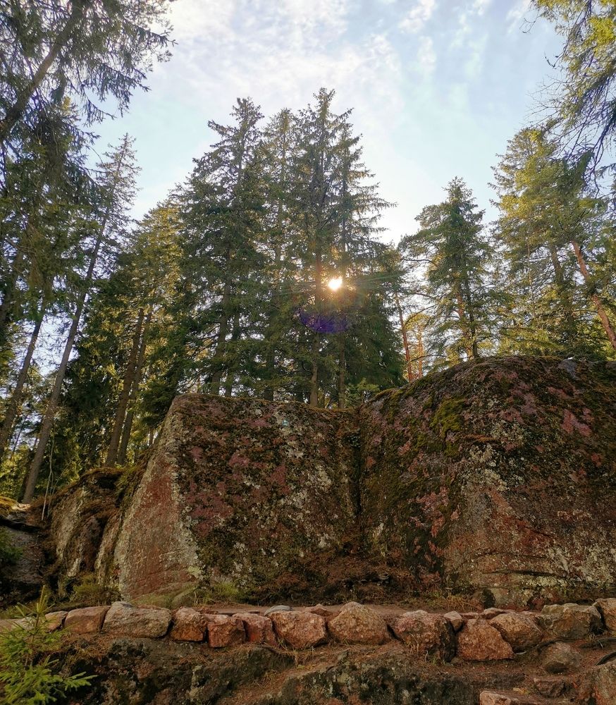 Солнечный зайчик.