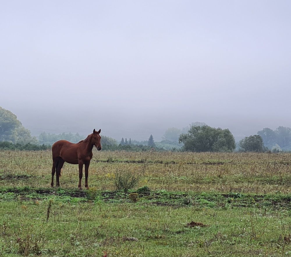 Photograph by Гульдар Баймурзина