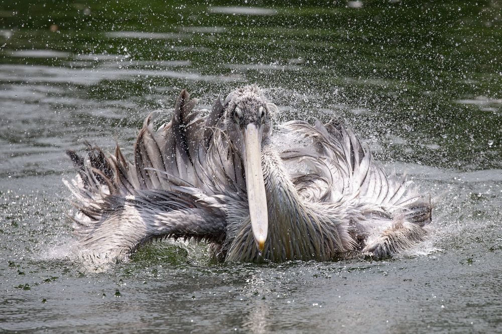 Photograph by Ангелина Ильичева