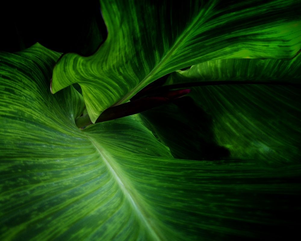 Photograph by Людмила М