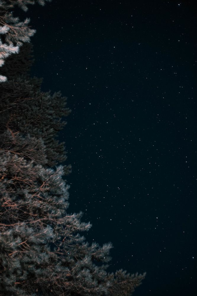 Фотография автора Кирилл Амосов