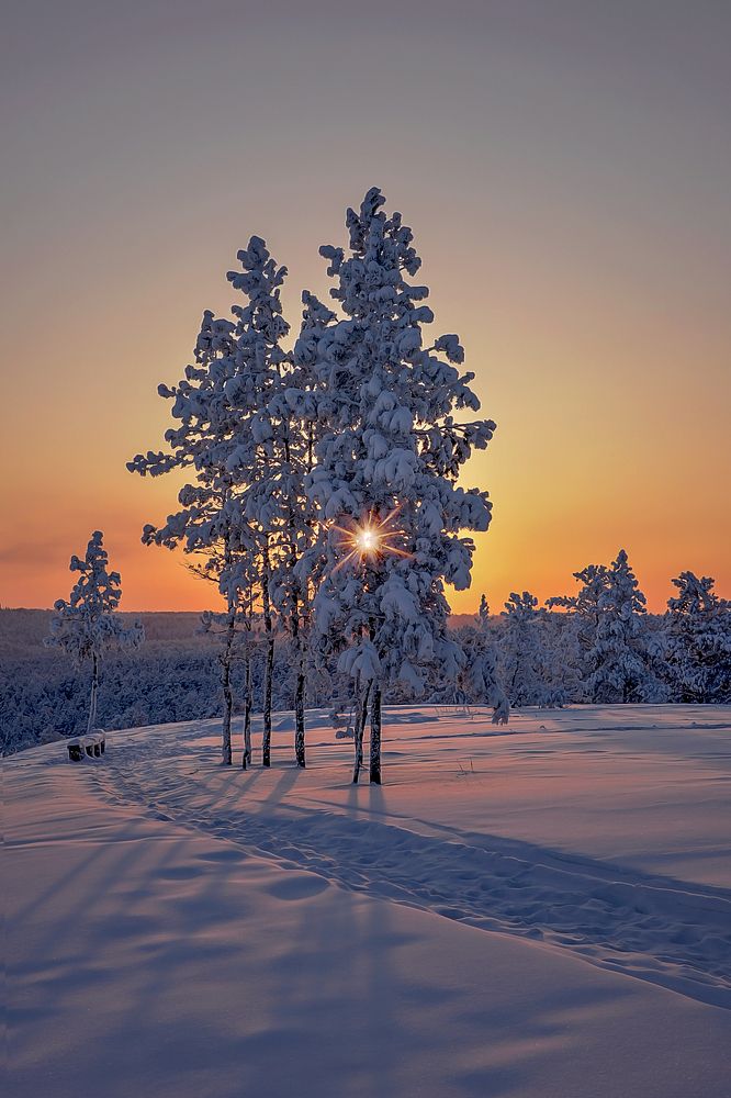 Photograph by Александр Шипиленко