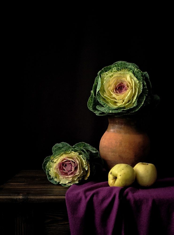 Photograph by Александра