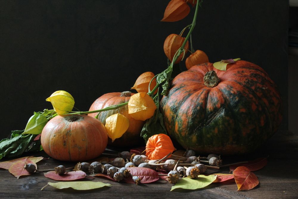 Photograph by Сироткина Нина