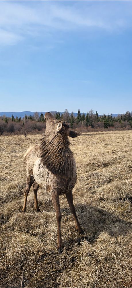 Photograph by Надежда Панкратова