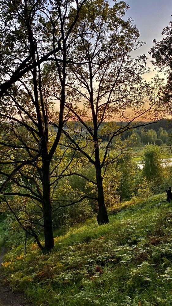 Photograph by Ольга Меладзе