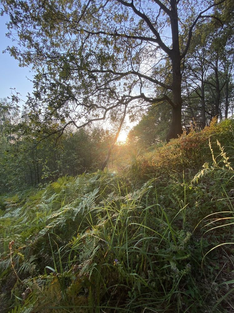 Photograph by Ольга Меладзе