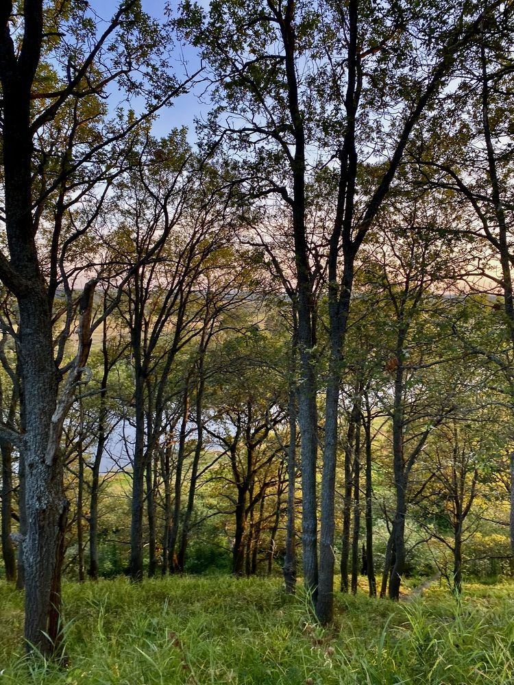 Photograph by Ольга Меладзе