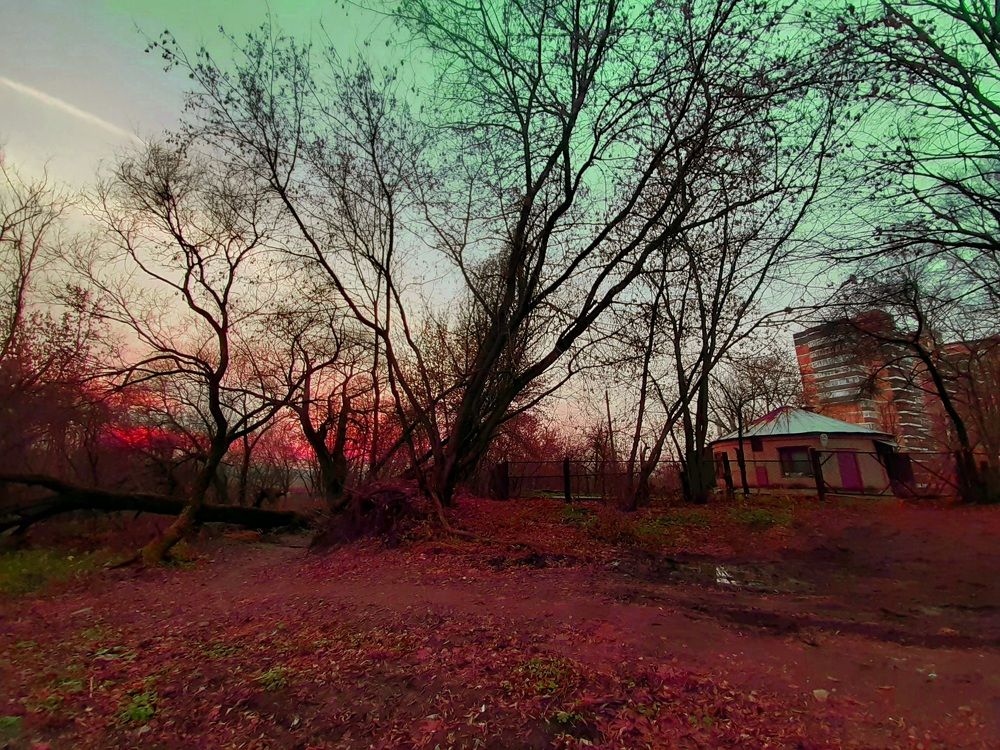 Photograph by Екатерина