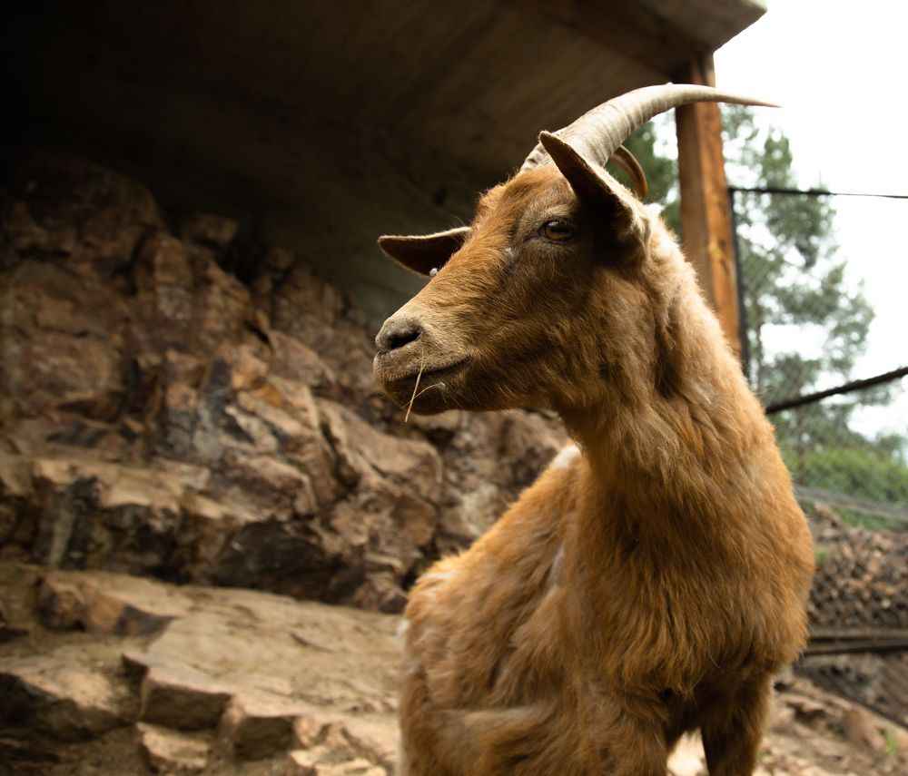 Photograph by Ирина Бескровная