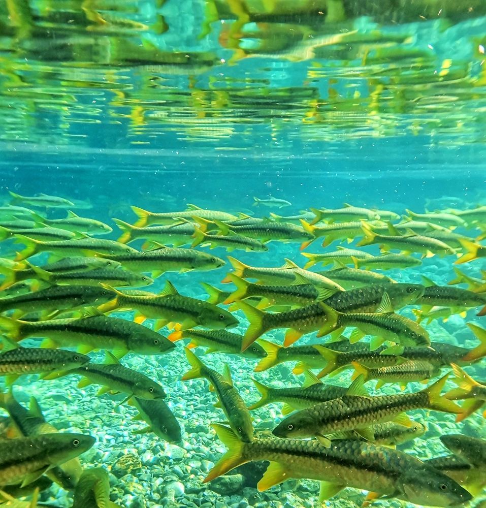 Photograph by Shahid Siyal