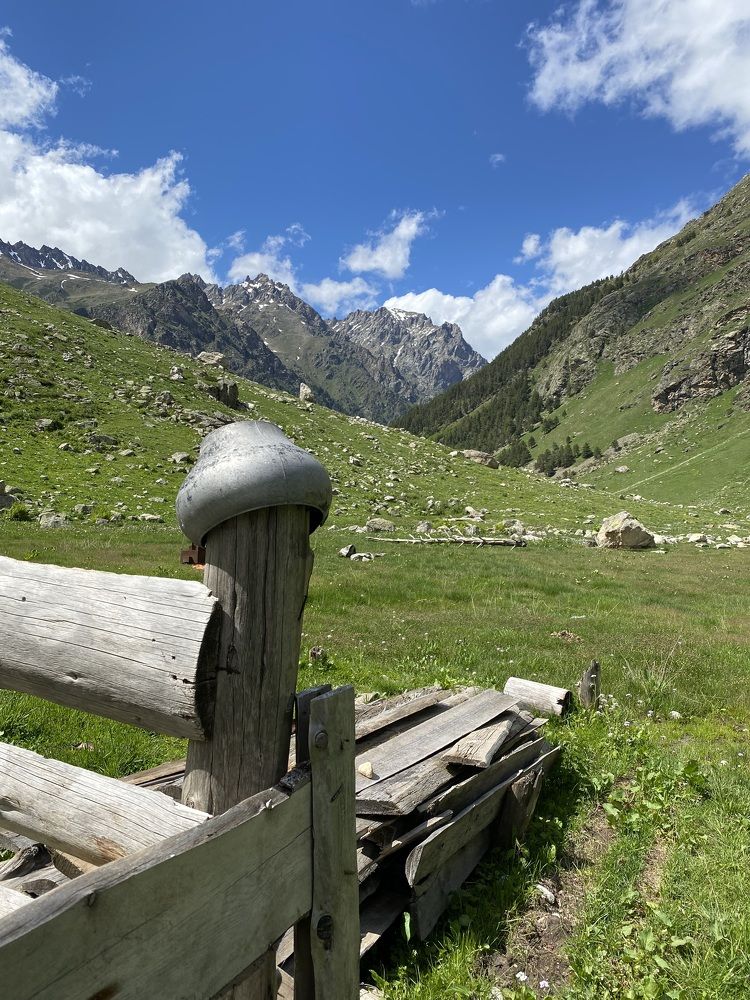 Photograph by Алиса Лукина