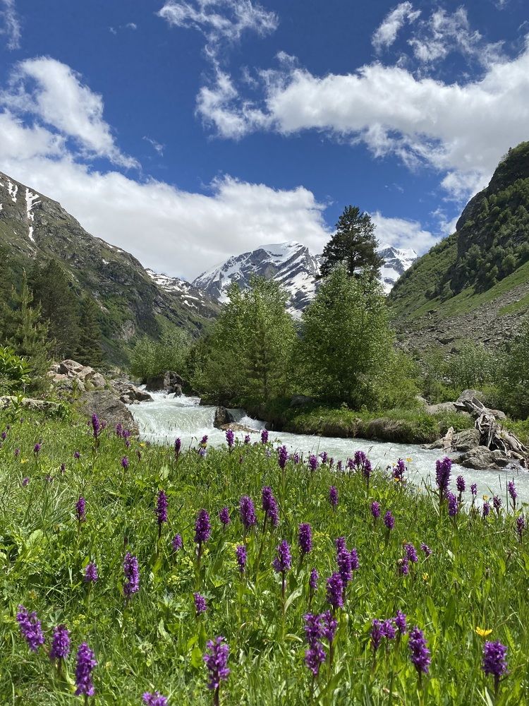 Photograph by Алиса Лукина