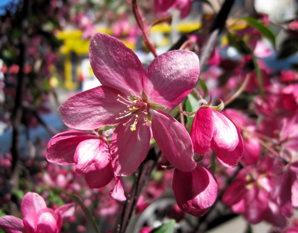 Photograph by Viktoriia Rusanova