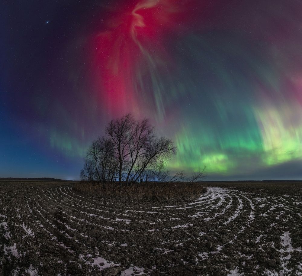 Photograph by Anton Ivanov