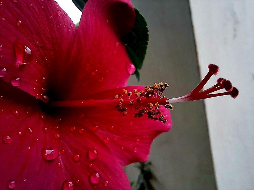 Photo #9849614