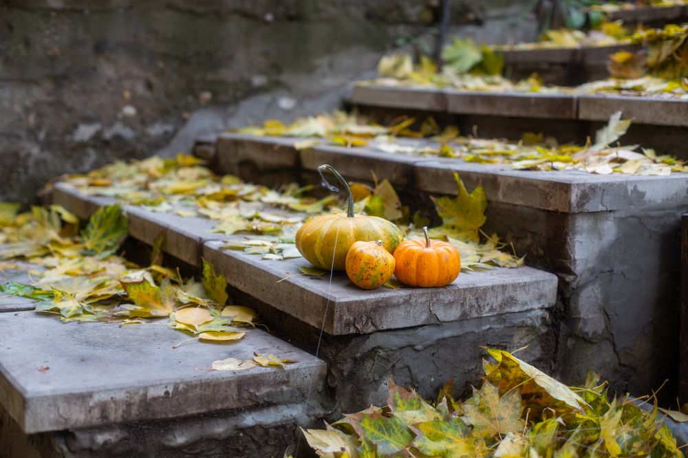 Photograph by Ольга Кривенцова