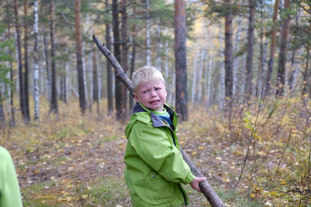 Photograph by Денис Вавилов