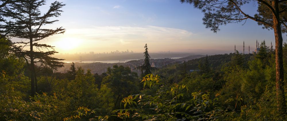 Photograph by Александр Журавлев