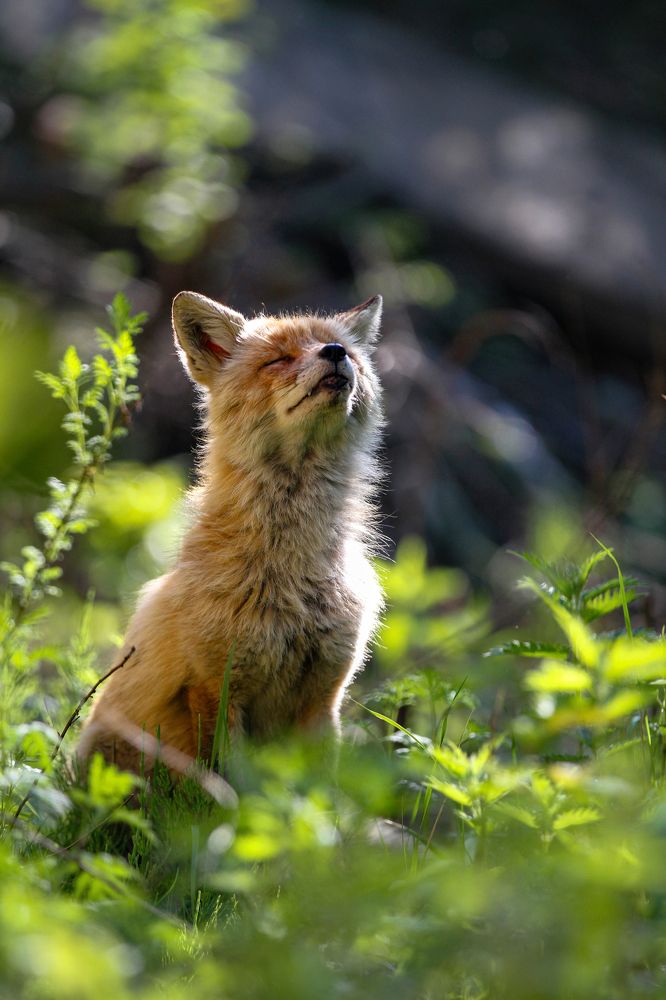 Photograph by Мария Маркина