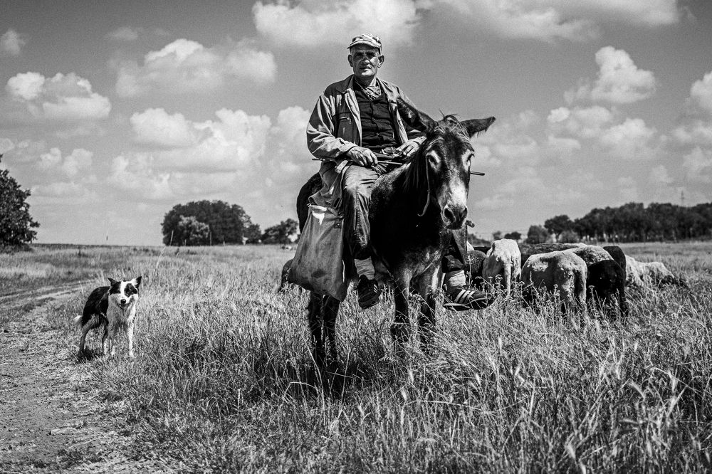 Photograph by Ned Stoyanov