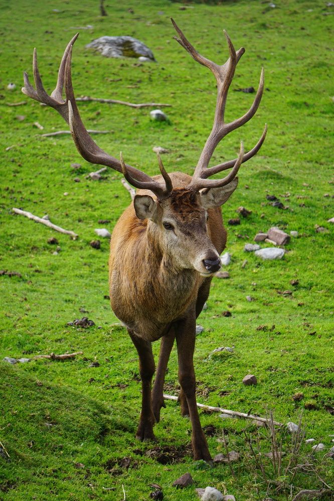 Фотография автора Liudmila Kiermeier