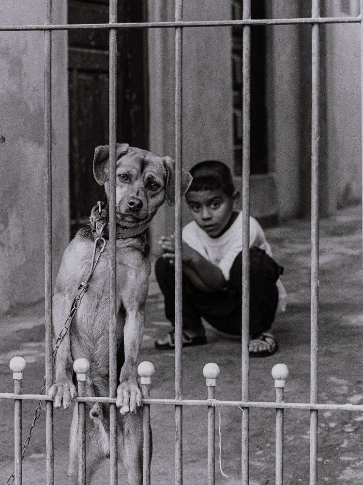 Photograph by Andréia Kris