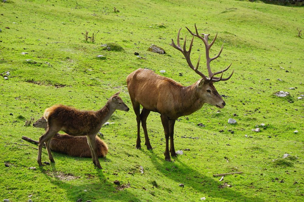 Фотография автора Liudmila Kiermeier