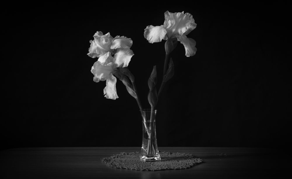 Фотография автора Vadim Svirin