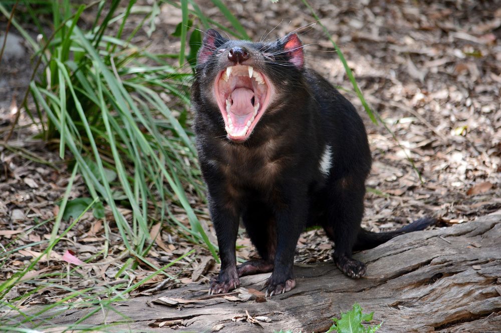 Photograph by Александр Каплан