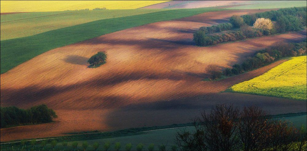 Утро в Моравии