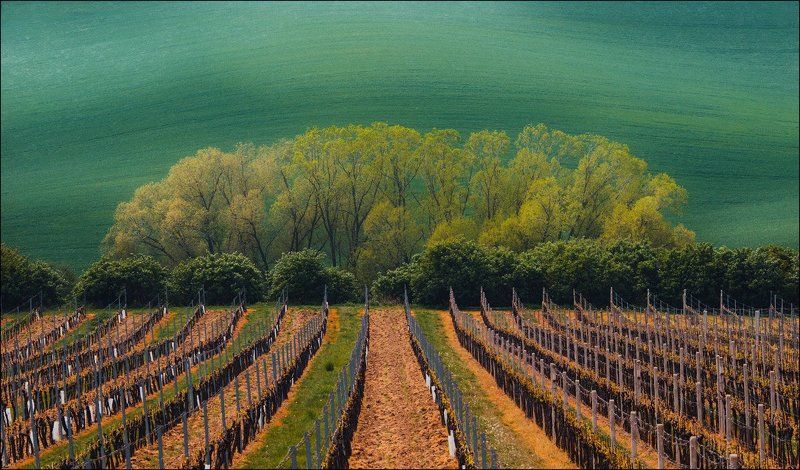 Anatoliy Rudchenko, Ukraine