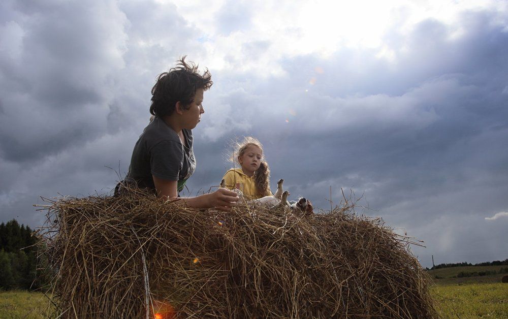 Без названия..