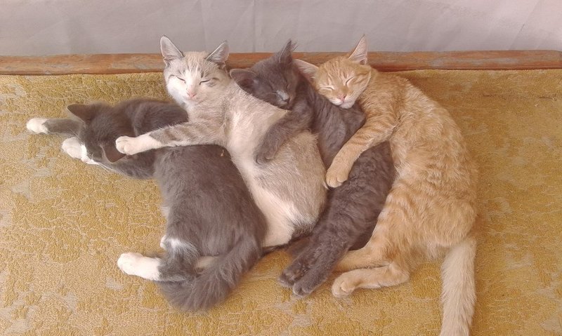 Александра, Russia