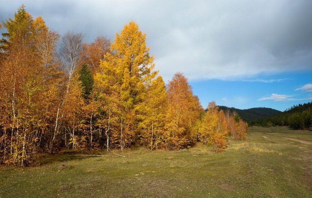 Золотая осень.